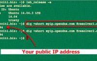 Linux: 命令行获取公共 IP 和 私有IP, How To Find My Public IP Address, Determine Your Private and Public IP Addresses, From Command Line On a Linux