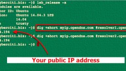 Linux: 命令行获取公共 IP 和 私有IP, How To Find My Public IP Address, Determine Your Private and Public IP Addresses, From Command Line On a Linux