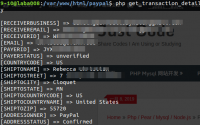 PHP: 获得PayPal Transaction信息，payment 信息（GetTransactionDetails API）, PHP paypal nvp