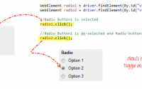 Python Selenium 选中 CheckBox 或者 Radio, Selenium 选中 单选框 或者 复选框, How to Select CheckBox and Radio Button in Selenium WebDriver