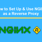 如何设置和使用 NGINX 作为反向代理, 如何在 Nginx 中将 HTTP 重定向到 HTTPS, How to Set up & Use NGINX as a Reverse Proxy,  How to Redirect HTTP to HTTPS in Nginx